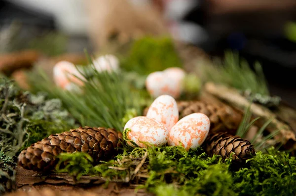Easter theme. Religious holiday. Easter egg composition with natural forest attributes. Moss, pine cone, pine branch.