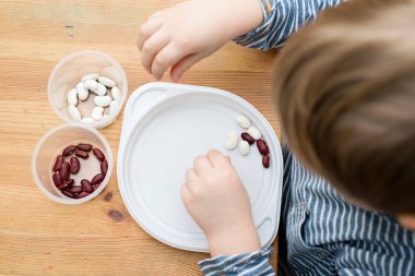 Böbrek fasulyesini beyaz fasulyeden ayıran çocuk. Montessori konsepti. Erken eğitim için anaokulu uygulaması. İyi motor becerileri ve dikkat alıştırması. Çocuk ev konseptiyle oynuyor..