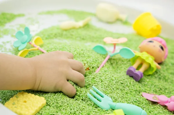 Çocuk yeşil renkli pirinçle oynuyor. Rol yapma, çiçek dikme. Çocuklar için oyun yoluyla iyi motor beceriler geliştirmek. El-göz koordinasyonunu öğrenmek için DIY oyuncağı.