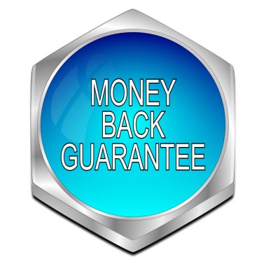 Para geri Garanti düğmesi mavi - 3D illüstrasyon