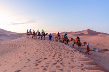 Karavan Sahra Çölü, Fas 'taki kum tepelerinden geçiyor.