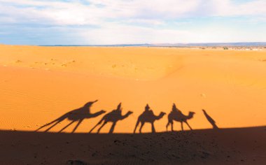Merzouga, Fas 'ta Sahra Çölü' ndeki gölgeler. Afrika 'da çölde bir deve kervanı. Turist gezisi deve sürüşü.