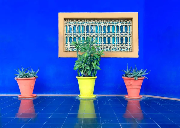 Marocká Zátiší Dvě Žluté Květináče Aloe Pozadí Modré Stěny Žlutým — Stock fotografie