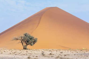 Kum 45, Sossusvlei, Namibya, Afrika