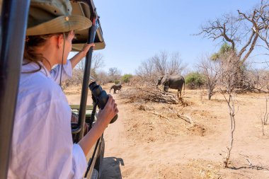 Afrika 'da safaride cipten inen bir fili izlemek.