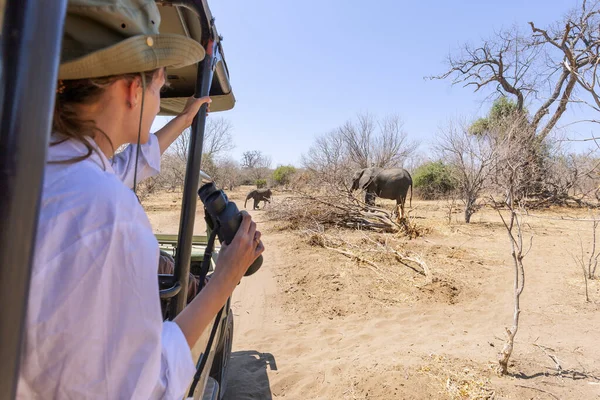 アフリカのサファリでジープから本当に近いゾウを見る ストック写真