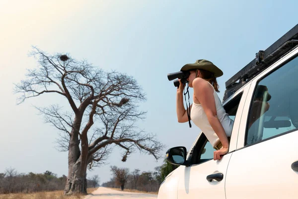 サファリに立っている若いブロンドの女性 4X4 双眼鏡を通して野生動物を観察する車 ストックフォト