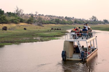 Chobe Ulusal Parkı 'nda tekne gezisi. Kuzey Botswana ve Namibya arasında bir kanal. Vahşi hayata bir son..