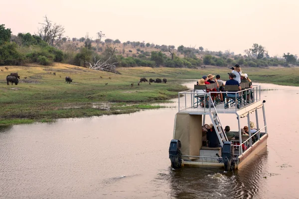 Croisière Bateau Dans Parc National Chobe Canal Entre Nord Botswana Images De Stock Libres De Droits
