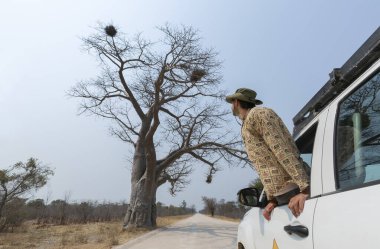 Genç turist, park halindeki beyaz off-road arabasının camından Afrika manzarasına bakıyor.