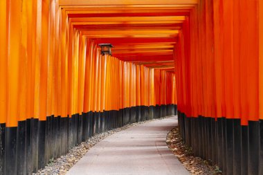 Japonya, Kyoto 'daki Fushimi Inari türbesindeki kırmızı Torii kapıları