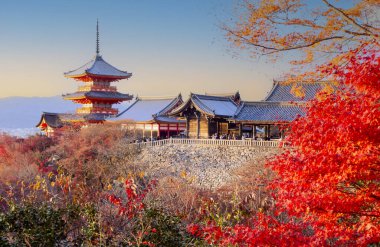 Sonbahar renk Kiyomizu-dera Tapınağı: Kyoto, Japan