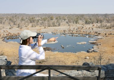 Afrika 'da safari yapan bir kadın, su birikintisinin önünde oturmuş Afrika ulusal parkında vahşi hayvan ve kuşları izliyor.