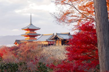 Kiyomizu-dera Tapınağı 'nın bakış açısı