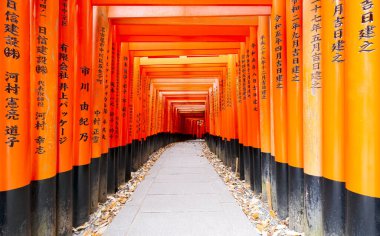 Japonya, Kyoto 'daki Fushimi Inari türbesindeki kırmızı Torii kapıları