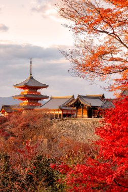 Sonbahar sezonu Kiyomizu veya Kiyomizu-dera Tapınağı, Kyoto, Japonya.