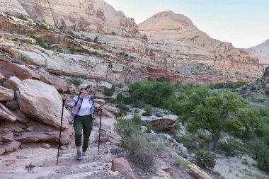 Güneşin ışınlarında gülümseyen güzel bir kız yürüyüş sırıklarını tutar ve dağ yolunda yürür..