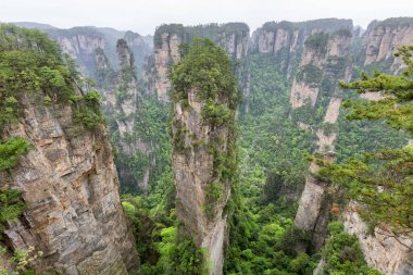 Hunan 'daki Zhangjiajie Ulusal Orman Parkı