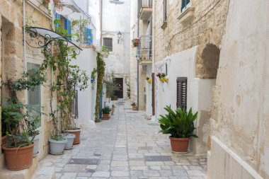 Polignano a Mare kasabası, Puglia bölgesi, İtalya, Avrupa. Adriyatik Denizi Deniz Burnu