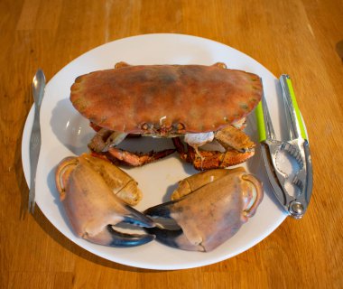 Whole cooked crab with claw cracker utensil on a white plate