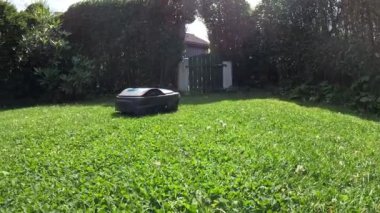 Güneşli bir günde yeşil çim biçen bir robot çim biçme makinesi. Makine otomatik olarak günlük olarak kesilecek ve verimli bir şekilde kesilecek ve arka bahçeyi koruyacak.