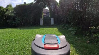 Güneşli bir günde yeşil çim biçen bir robot çim biçme makinesi. Makine otomatik olarak günlük olarak kesilecek ve verimli bir şekilde kesilecek ve arka bahçeyi koruyacak.