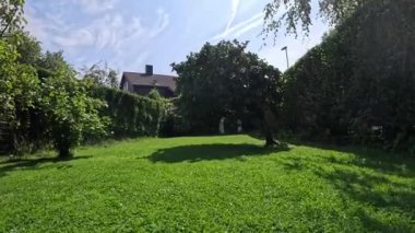 Güneşli bir günde yeşil çim biçen bir robot çim biçme makinesi. Makine otomatik olarak günlük olarak kesilecek ve verimli bir şekilde kesilecek ve arka bahçeyi koruyacak.