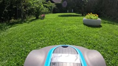 Güneşli bir günde yeşil çim biçen bir robot çim biçme makinesi. Makine otomatik olarak günlük olarak kesilecek ve verimli bir şekilde kesilecek ve arka bahçeyi koruyacak.