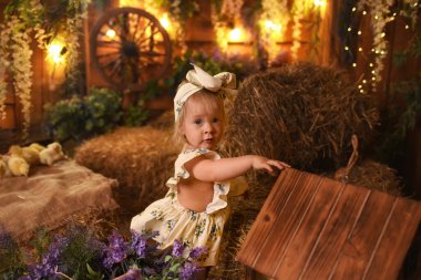 Küçük kız ahırda