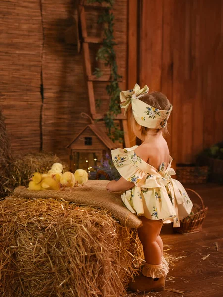 아름다운 소녀가 새끼들 병아리들을 가지고 — 스톡 사진