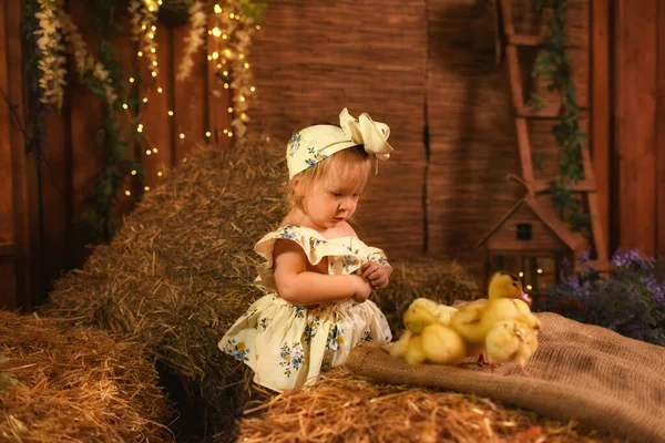 Mooi Klein Meisje Spelen Met Eendjes Kuikens — Stockfoto