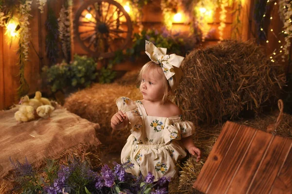 Little Cute Girl Flowers Barn — Stock Photo, Image