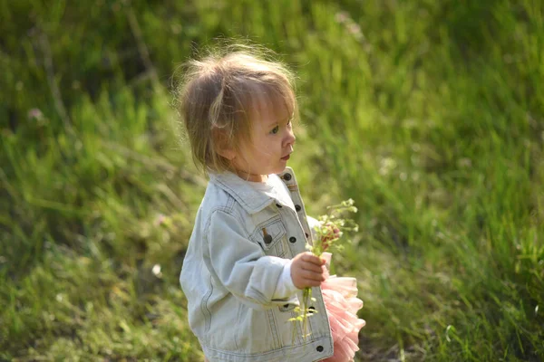 Portré Egy Aranyos Kislányról Tavasszal Rét Zöld Füvön — Stock Fotó
