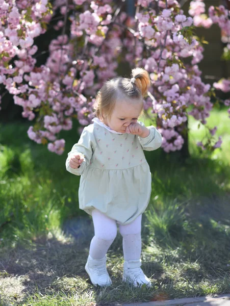 Małe Dziecko Alergię Kwiaty Dziecko Drapie Się Nosie Dziecko Kwitnących — Zdjęcie stockowe