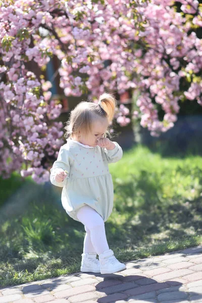 Uma Criança Pequena Alérgica Flores Criança Coça Nariz Bebê Árvores — Fotografia de Stock