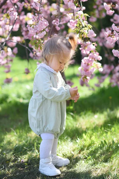 Fille Dans Parc Avec Des Fleurs Petite Fille Dans Jardin — Photo