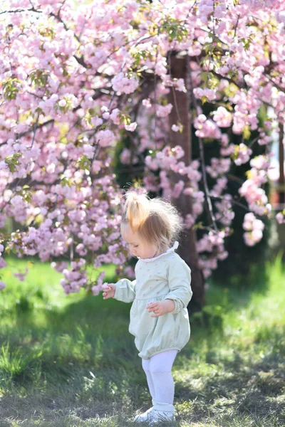 Meisje Het Park Met Bloemen Klein Meisje Tuin — Stockfoto