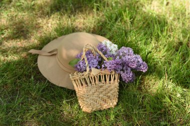Sepet, şapka ve çiçekler çimlerin üzerinde