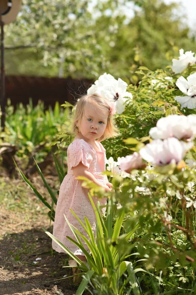 Parktaki Küçük Çocuk Çiçek Tarlasında Küçük Bir Kız — Stok fotoğraf