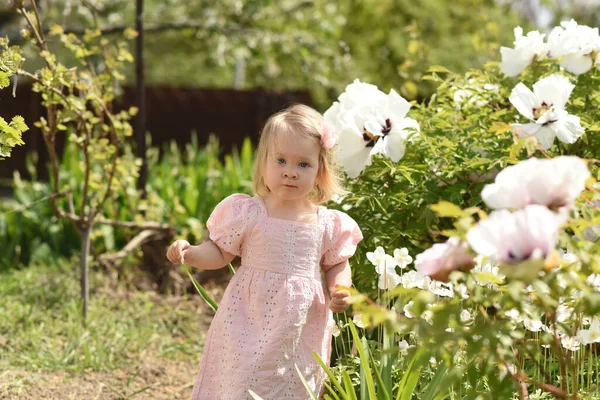 Little Child Park Little Girl Field Flowers — Stock Photo, Image