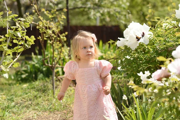 Petit Enfant Dans Parc Petite Fille Dans Champ Fleurs — Photo
