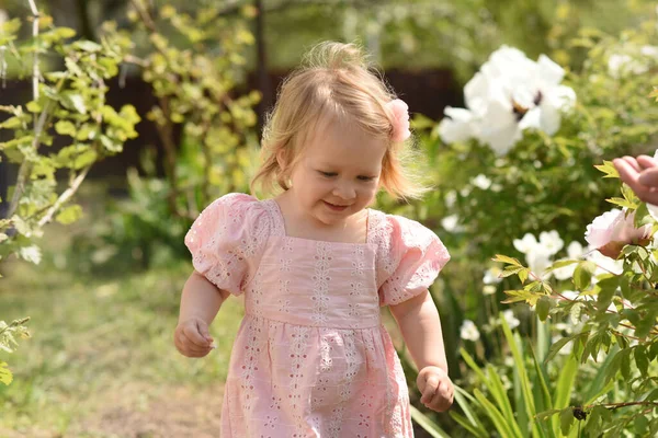 Kleines Kind Park Kleines Mädchen Einem Blumenfeld — Stockfoto