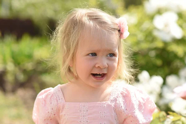 stock image little child in the park. little girl in a field of flowers