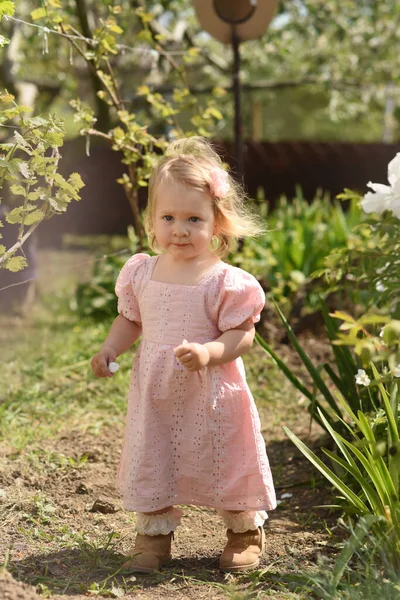 Parktaki Küçük Çocuk Çiçek Tarlasında Küçük Bir Kız — Stok fotoğraf
