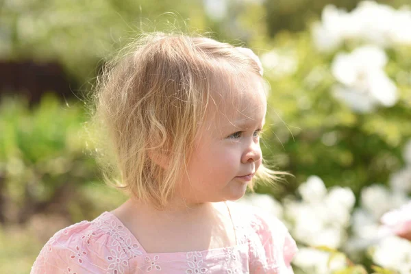 Ett Litet Barn Parken Liten Flicka Ett Fält Blommor — Stockfoto