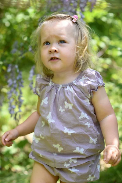 Маленькая Девочка Вистерией Весеннем Парке — стоковое фото