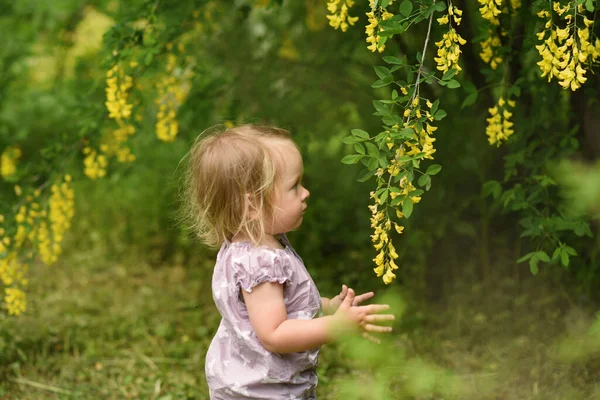 Küçük Kızı Bahar Parkı — Stok fotoğraf