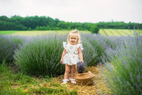 Ein Schönes Kleines Mädchen Geht Durch Ein Lavendelfeld Das Blonde — Stockfoto