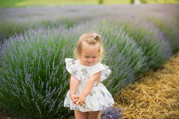 Een Mooi Klein Meisje Loopt Een Lavendelveld Het Blonde Meisje — Stockfoto