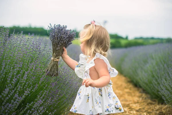 Een Mooi Klein Meisje Loopt Een Lavendelveld Het Blonde Meisje — Stockfoto